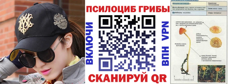 цены наркотик  Казань  Псилоцибиновые грибы MAGIC MUSHROOMS 